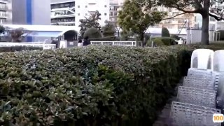 亚洲动漫成人一区二区|亚洲精品99久久久久中文字幕
